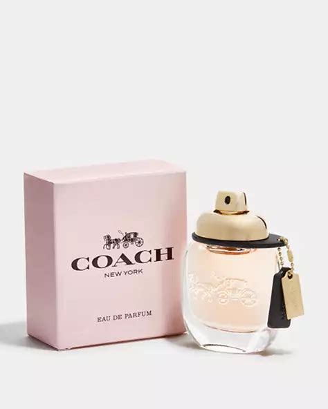 coach perfume sale outlet